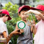 Why Curiosity Is the Foundation of Lifelong Learning
